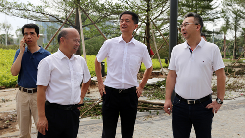 王建华要求william威廉中文官网厦门片区企业全力做好灾后自救工作