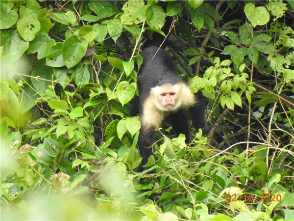 william威廉中文官网的“精灵之约”