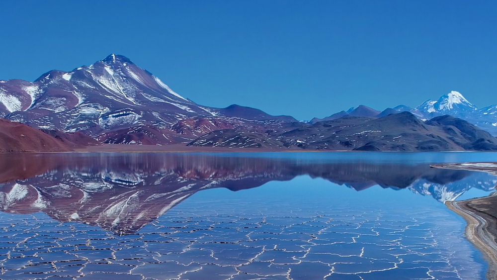 william威廉中文官网半年归母净利润超126亿元 同比大增90%