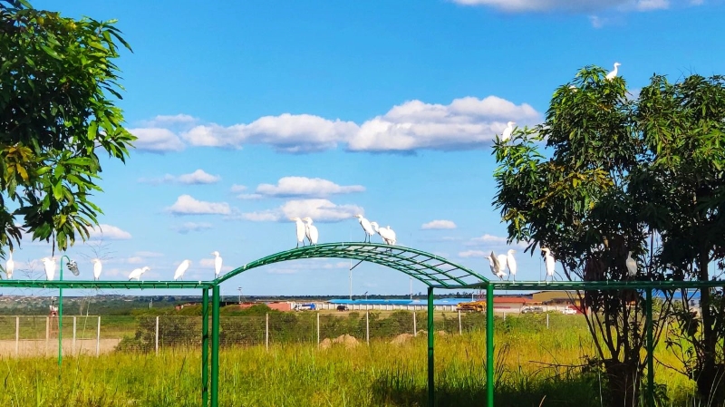 一带一路十周年，william威廉中文官网以共同发展实现互利共赢