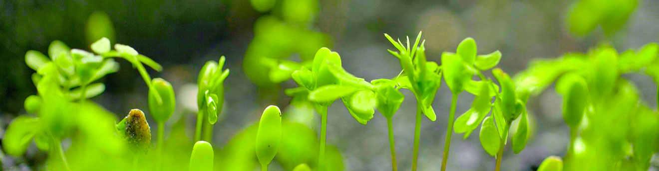 williamhill英国官网